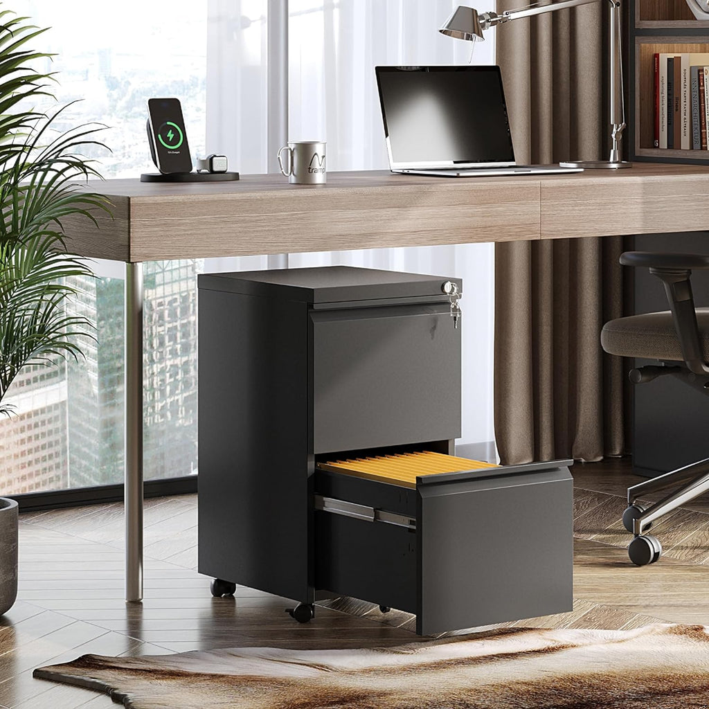 2-Drawer Metal File Cabinet, Fully Assembled, Under Desk, Black Finish, Lockable, Accommodates Letter, Legal, and A4 Size Files