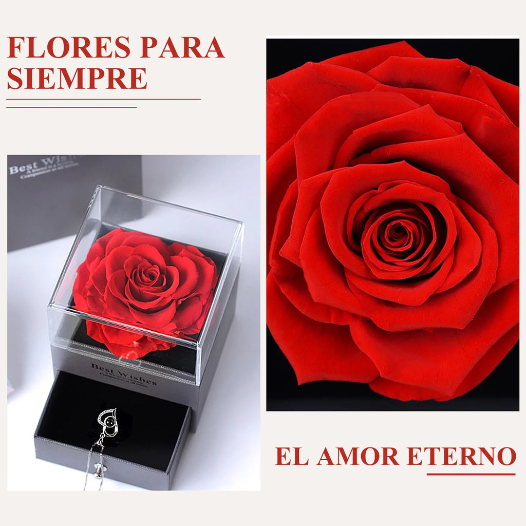 Eternal Preserved Red Rose with "I Love You" Necklace in 100 Languages - Timeless Floral Gifts for Mother's Day, Valentine's Day, Anniversaries, and Birthdays for Women